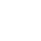 Next.js technology icon